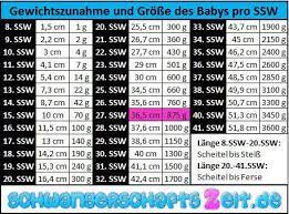 27 Ssw Bauch Entwicklung Gewichtszunahme