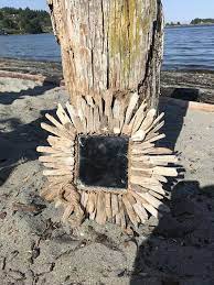 Beck handles lead vocals himself on this don nix cover. Driftwood Cat Tree Vancouver Island Happy Cats