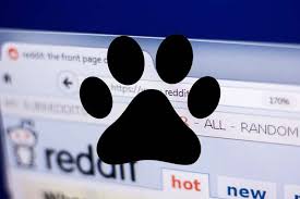 The association of american feed control officials has very low standards when it comes to dog food labeling. Reddit Dogs How To Use Reddit To Become A Better Owner Top Dog Tips