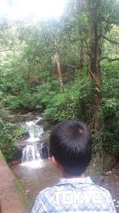 Watch the video and pay a visit. Mission Green Goa Exploring Goa Monoliths Wild Flowers At Verna Pleateau Visit To The Ambular Lake And Udear Spring Verna