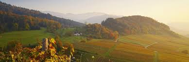 Der schwarzwald beschert seinen besuchern ein besonderes maß an gastfreundlichkeit, erholung und einer ebenso großen menge an möglichen aktivitäten für die freizeit. Schwarzwald Urlaub Auf Dem Bauernhof In Baden Wurttemberg