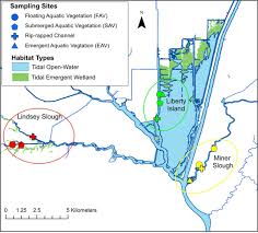 52 comprehensive delta tide tables stockton