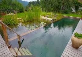 Natural Swimming Ponds Natural Swimming Ponds Natural Swimming Pools Natural Pool