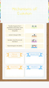 What makes natural selection so special? Mechanisms Of Evolution Interactive Worksheet By Jake Grubb Wizer Me