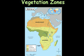 The potential natural vegetation (pnv) map of eastern and southern africa covers the countries burundi, ethiopia, kenya, malawi, uganda, rwanda, tanzania, and zambia. Jungle Maps Map Of Africa Vegetation Zones