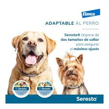 Collar antiparásito Bayer Seresto para perros de hasta 8 Kg 38 cm · Seresto  · El Corte Inglés