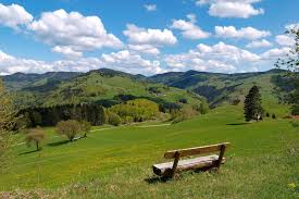 The highest peak in the black forest is the feldberg. 12 Best Things To Do In The Black Forest What Is The Black Forest Most Famous For Go Guides