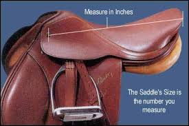 Measuring An English Saddle Seat Size Saddle Fitting English Saddle Fitting Horse Tack