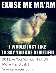 It may make her blush, but if she's intelligent, her blushing is likely to be out of embarrassment for you. Exuse Me Ma Am Would Just Like To Say You Are Beautiful Made On Imgur 20 I Like You Memes That Will Make Her Blush Sayingimagescom Beautiful Meme On Me Me