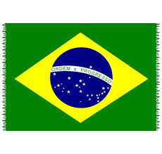 Venha entender o que motivou a criação do brasil.io e quais são os objetivos do projeto! Pareo Mit Fransen Nationalflagge Brasilien Canga Brasil