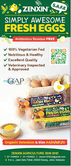 The top supplying countries or. Johor Size A Simply Awesome Fresh Eggs Premium Egg Products From Zenxin Agriculture Sdn Bhd