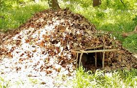 Emergency Shelter Diy Basic Survival Skills Survival Life Survival Life Survival Skills Survival Shelter