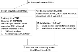 Unraveling Multiple Mhc Gene Associations With Systemic