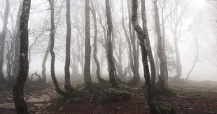 There is a good reason why al hrabosky earned the nickname the mad hungarian. throw in the fact that. Some Of The Creepiest Forests Found All Over The World
