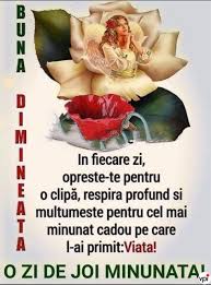 Zi de miercuri minunata pentru gemeni, plina de vesti bune pentru toate planurile. O Zi De Joi MinunatÄƒ Viral Pe Internet