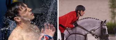 Find the newest olympic horse dancing meme. Hvhuebbt8bg3dm