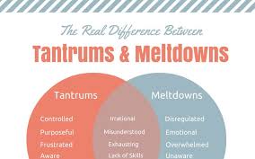 The Real Difference Between Tantrums And Meltdowns