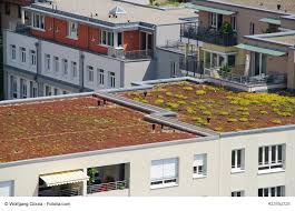 Was kostet ein haus im unterhalt? Kosten Fur Die Dachbegrunung Sind Keine Betriebskosten Rechtsanwalte