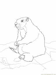 Ground squirrels, to be exact. Sitting Gopher Or Prairie Dog Coloring Page For Kids Free Gopher Or Prairie Dog Printable Coloring Pages Online For Kids Coloringpages101 Com Coloring Pages For Kids
