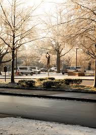 NC State University added a new photo.