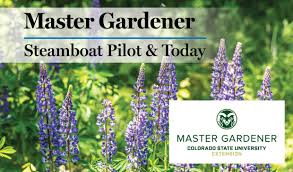 There are more than 500 fort collins natives, and most are readily available for landscaping projects. Master Gardener Honeysuckle Vines And Bushes Steamboattoday Com