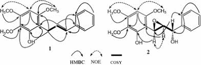 Image result for Uvaria welwitschii