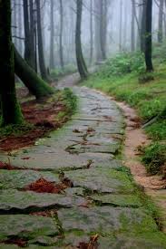 Pin By Maria Ruiz On Run Here Pathways Landscape Paths