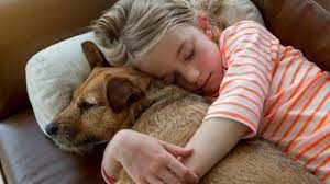 kak perezhit smert pitomca sovety specialista