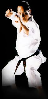 Tetsuhiko Asai Shotokan Karate Karate Kata Shotokan