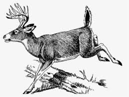 Clip art is a great way to help illustrate your diagrams and flowcharts. Free Whitetail Deer Clip Art With No Background Clipartkey