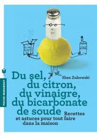 Du Sel Du Citron Du Vinaigre Du Bicarbonate De Soude