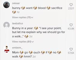 Tiktok is a popular social app and platform for making and sharing short videos. What Happens In The Tiktok Comments