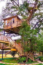 Treehousefriday Triple Decker Record Setter Nelson Treehouse In 2020 Tree House Designs Beautiful Tree Houses Cool Tree Houses
