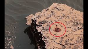 Resultado de imagen de La NASA anunció vida en Marte