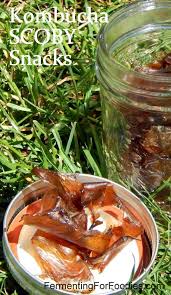 Kombucha Scoby Jerky Snacks Kombucha Scoby Kombucha Scoby Recipe