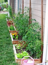 Formidable Backyard Vegetable Garden Ideas A Vegetable Garden Does Not Need To Occupy Vegetable Garden Beds Vegetable Garden Planner Raised Vegetable Gardens