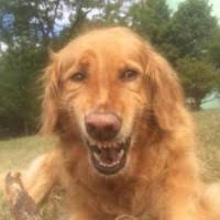 60+ perfiles de «Hernandez Serna»