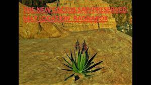 It can be harvested by hand, tool, and dino power. How To Make Cactus Broth Ark Survival Evolved By Ray Blackwood