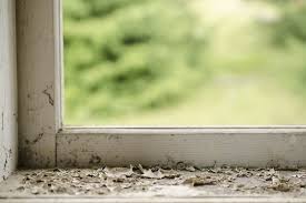 Check that the rot has not infected a huge area of the frame, because if more than ten percent of the wood is damaged, then the best option is to replace it entirely. How To Repair A Rotted Window Frame Homely Ville