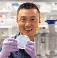 Miami University's first iGEM team wins gold medal at International  Genetically Engineered Machine competition