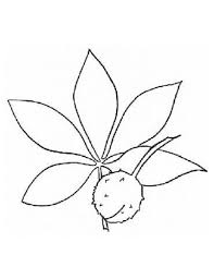 Free color book page of the ohio state flag. Buckeye Leaf Cliparts Cliparts Zone