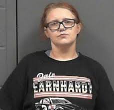 Lincoln County, West Virginia, toddler dies, her brother hospitalized