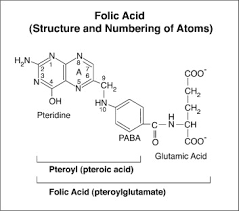 Folic Acid An Overview Sciencedirect Topics