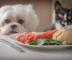 Caabs have supervised graduate training in animal behavior, biology, zoology and learning theory at accredited universities. Animal Behaviorist Jobs Applied Animal Behaviorist Jobs At Zoos And Shelters