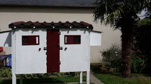 mon premier pigeonnier ma case d elevage youtube