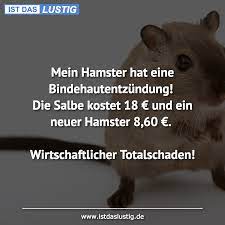 Darum wünsche ich einfach nur fröhliche ostertage! Mein Hamster Hat Eine Bindehautentzundung Die Salbe Kostet 18 Und Ein Neuer Hamster 8 60 Wirtschaftlicher Totalschaden Funny Quotes Humor Funny