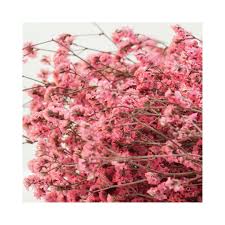 We did not find results for: 2021 Most Popular 70cm Real Touch Flower Crystal Grass Preserved Flowers Bouquets Lovers Gifts Decoration For Wedding Buy Artificial Flowers Crystal Grass Bouquet Preserved Flower Wedding Decoration Dry Flower Crystal Grass Mini