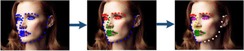 PDF] Reasoning structural relation for occlusion-robust facial landmark  localization