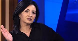 Депутат: План Никола, который послушно претворяют в жизнь власти Арцаха,  выполняется - BlogNews.am