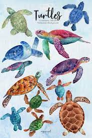 Watercolor Sea Turtles Clipart Baby Showers Nursery Decor Etsy Watercolor Sea Turtle Watercolor Sea Turtle Drawing